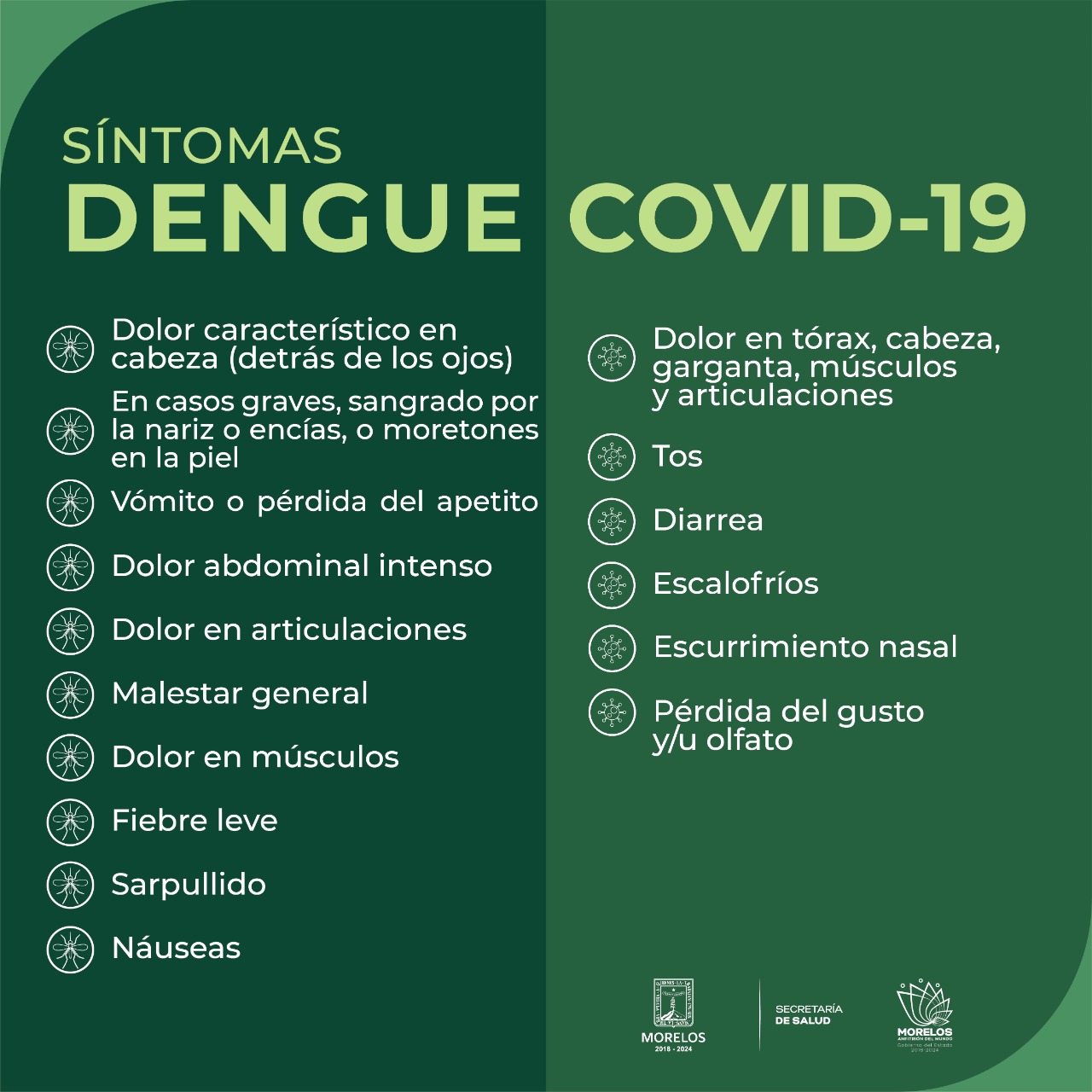 Pide SSM identificar signos y síntomas de dengue MORELOS